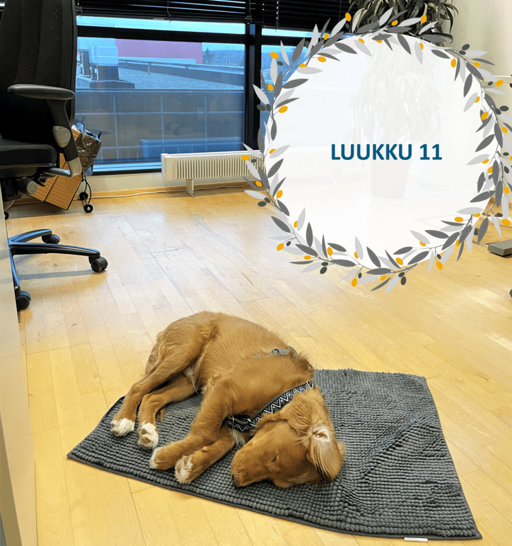 Luukku-11-skidi-salossa-pienempi2