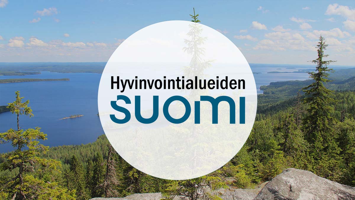 Hyvinvointialueiden Suomi